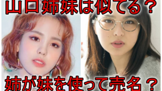 山口真子姉の山口厚子炎上