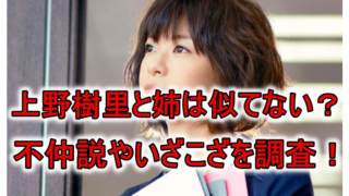 上野樹里の姉妹画像