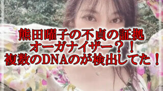 熊田曜子オーガナイザー