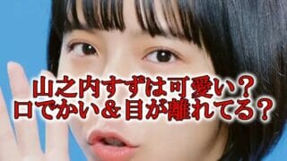 山之内すず可愛い?目と口