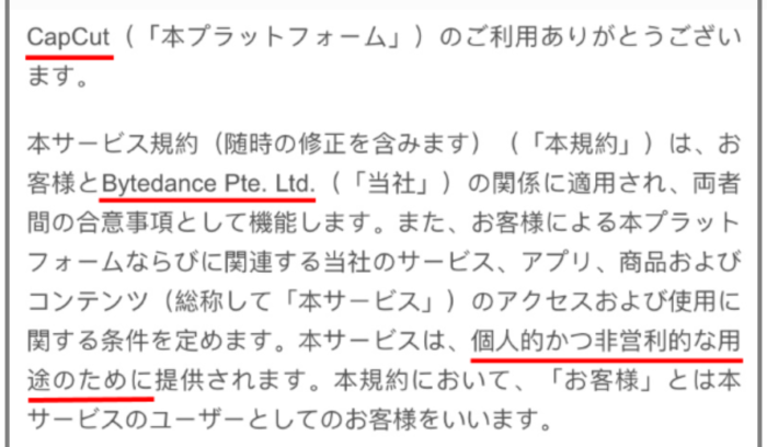 CapCut危険性と利用規約